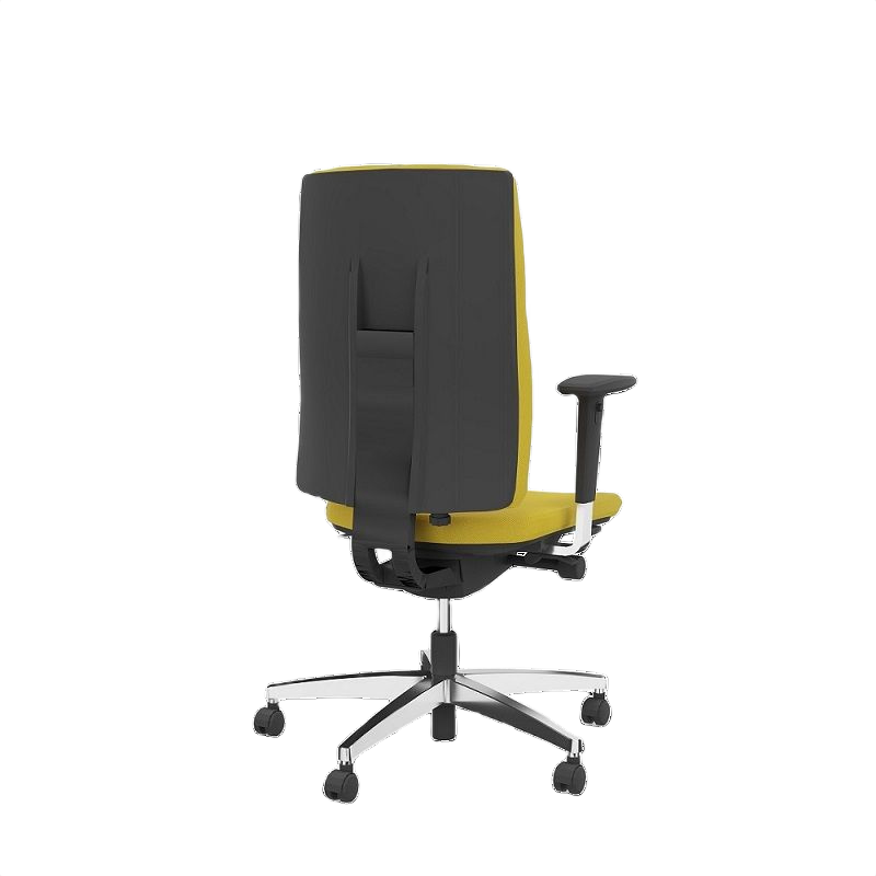 Viasit Linea Polsterrücken 52cm