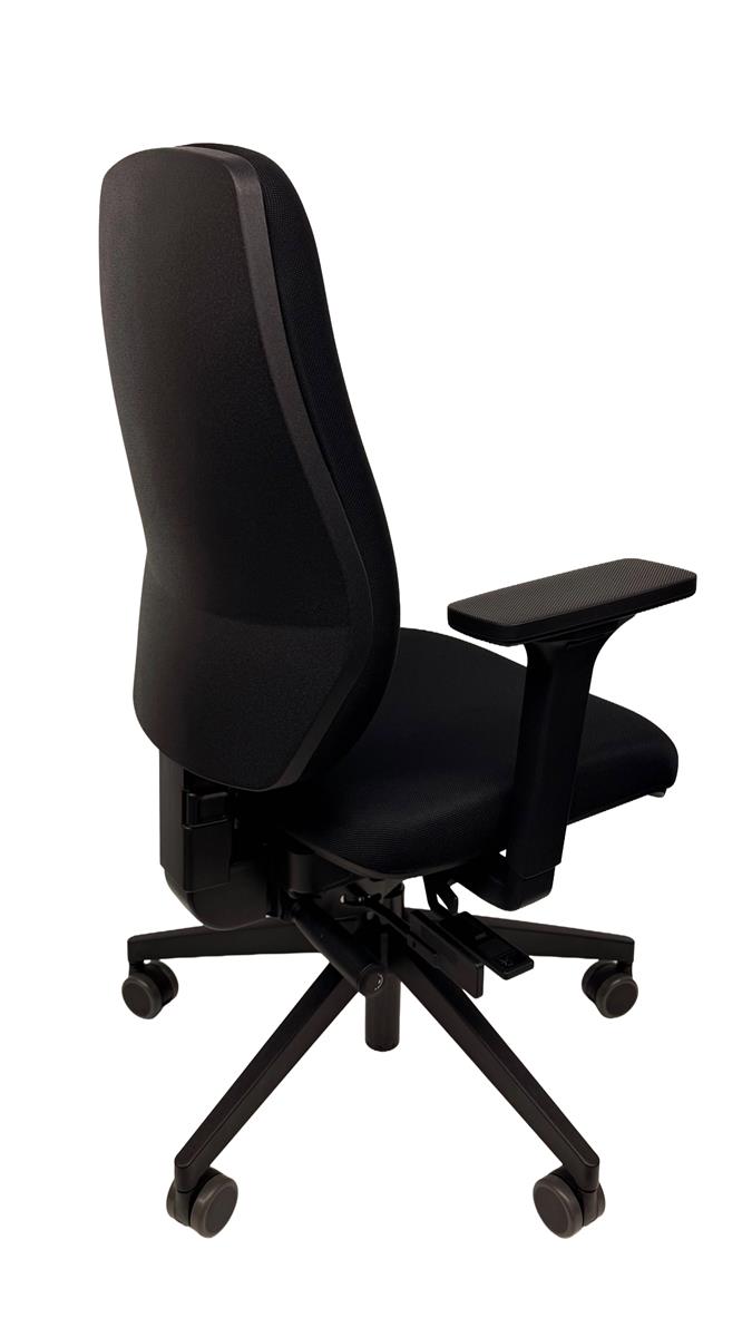 Dauphin Shape Economy, Syncro - Active-Balance Sofort Lieferbar