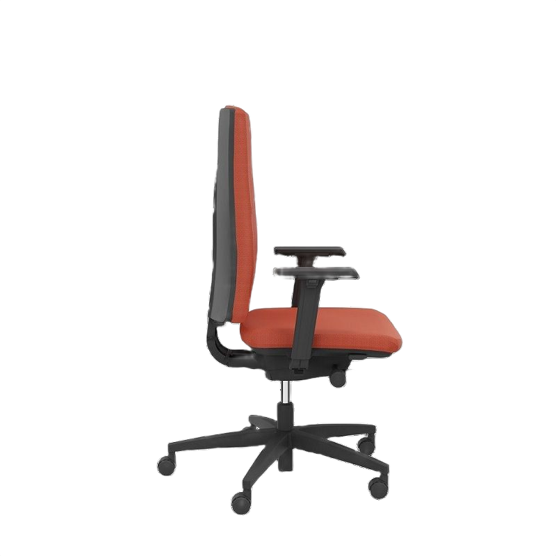 Viasit Linea Polsterrücken 52cm