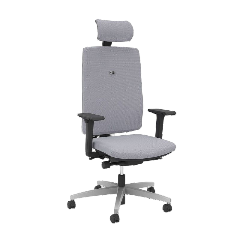 Viasit Linea Polsterrücken 52cm