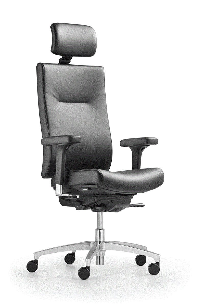 Dauphin AdJust Magic2 Operator 4891 NPR Chefsessel mit Kopfstütze frei konfigurierbar