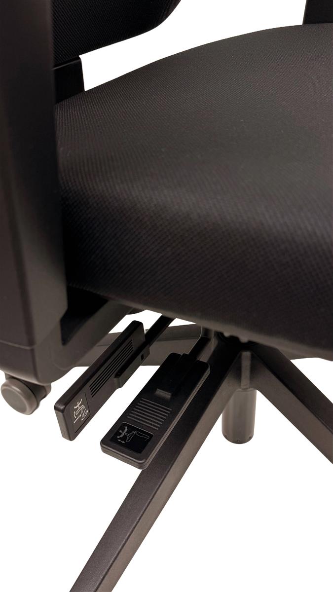 Dauphin Shape Economy, Syncro - Active-Balance Sofort Lieferbar