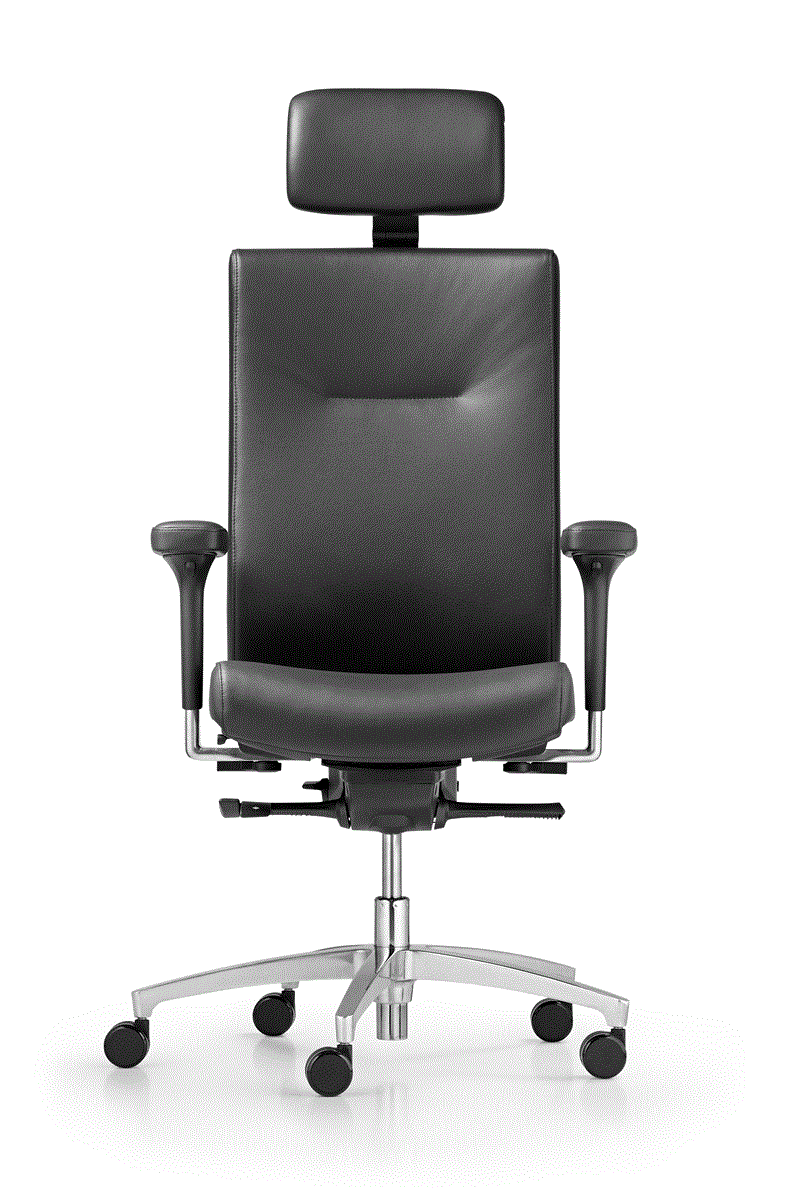 Dauphin AdJust Magic2 Operator 4891 NPR Chefsessel mit Kopfstütze frei konfigurierbar