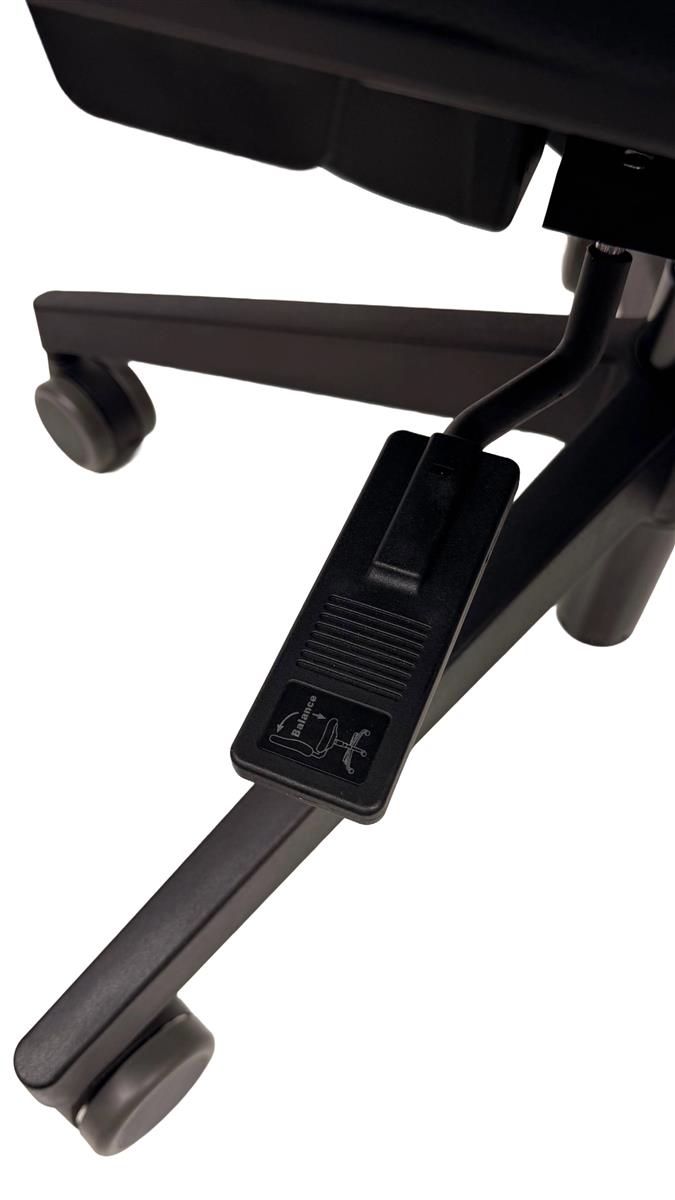 Dauphin Shape Economy, Syncro - Active-Balance Sofort Lieferbar