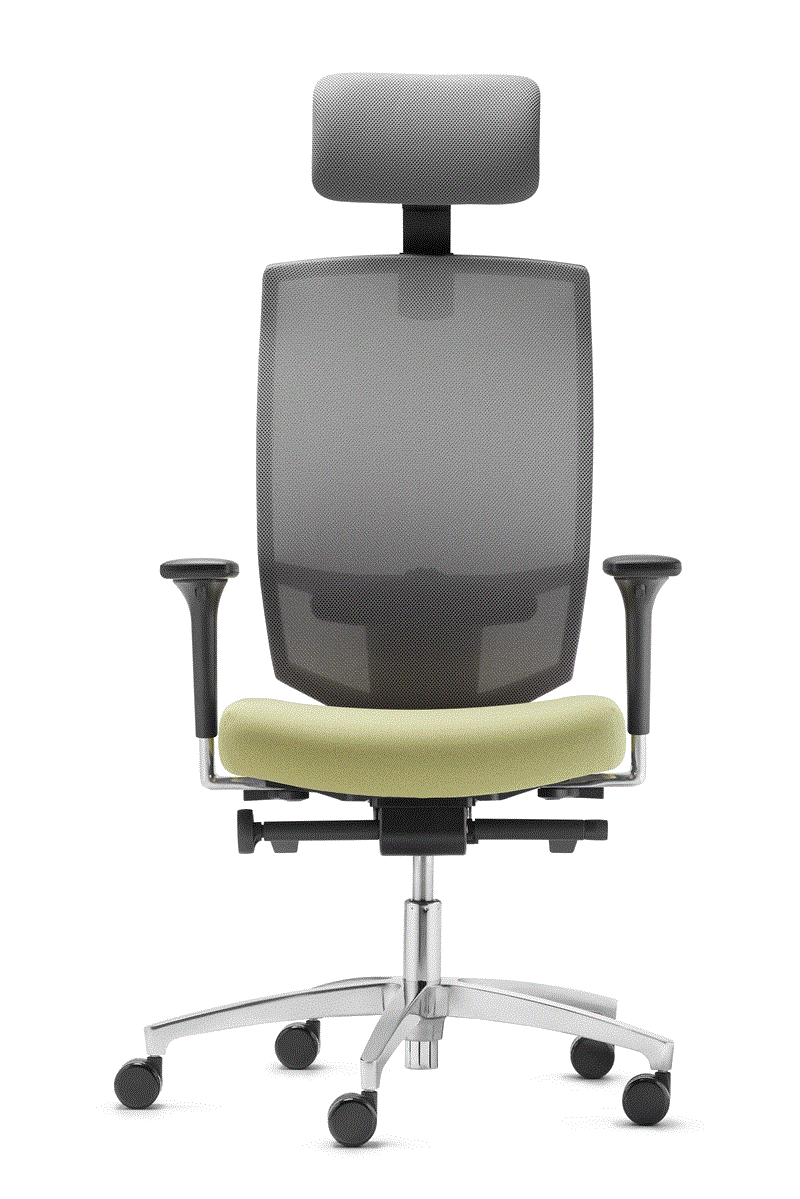 Dauphin AdJust Evo Mesh 5786 Chefsessel mit Kopfstütze frei konfigurierbar