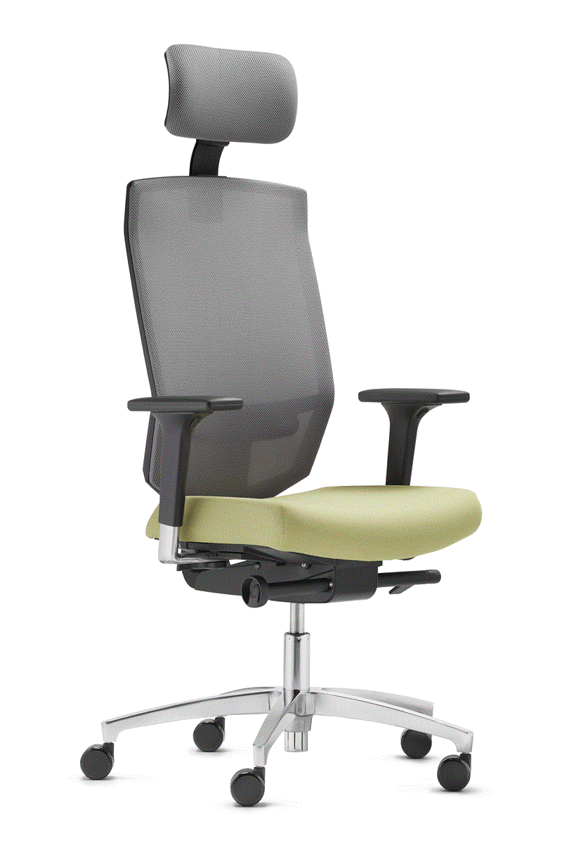 Dauphin AdJust Evo Mesh 5786 Chefsessel mit Kopfstütze frei konfigurierbar