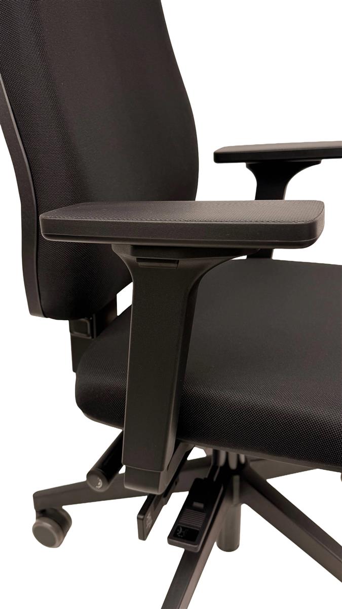 Dauphin Shape Economy, Syncro - Active-Balance Sofort Lieferbar